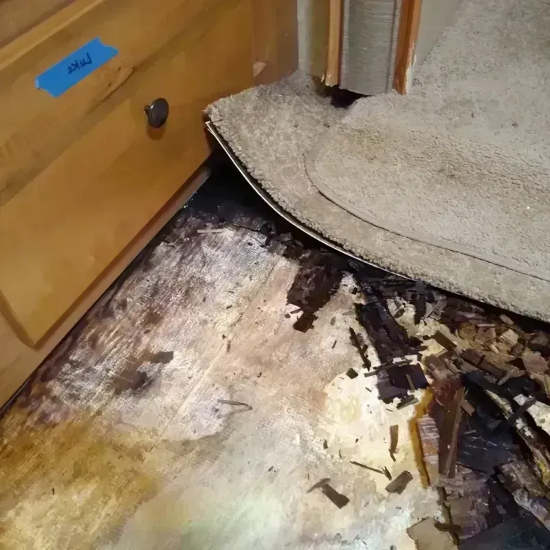 Best Wood Floor Water Damage Service in Seekonk, MA